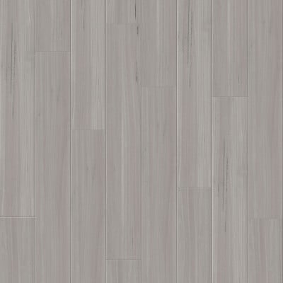 Refined Blackbutt variant 5