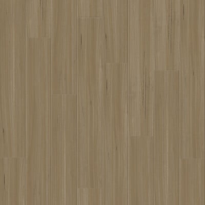 Refined Blackbutt variant 4