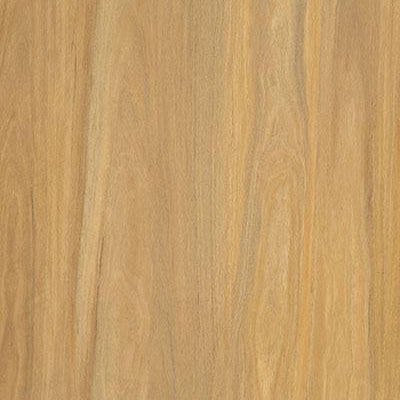 Weathered Spotted Gum
