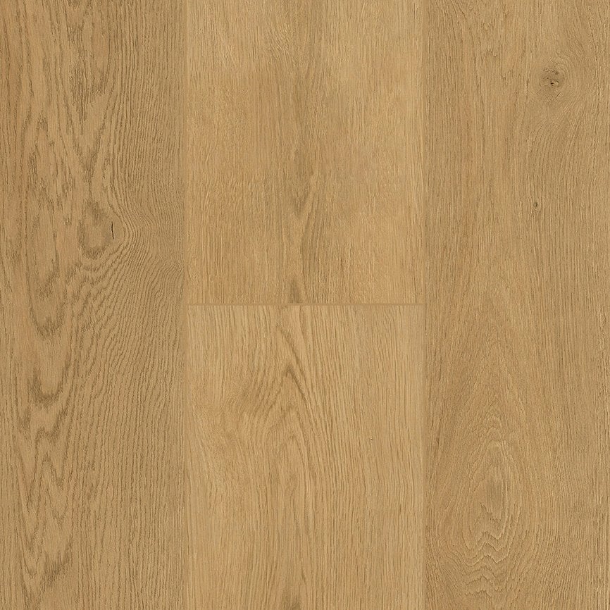 Emperor Penguin 9.0 variant 3