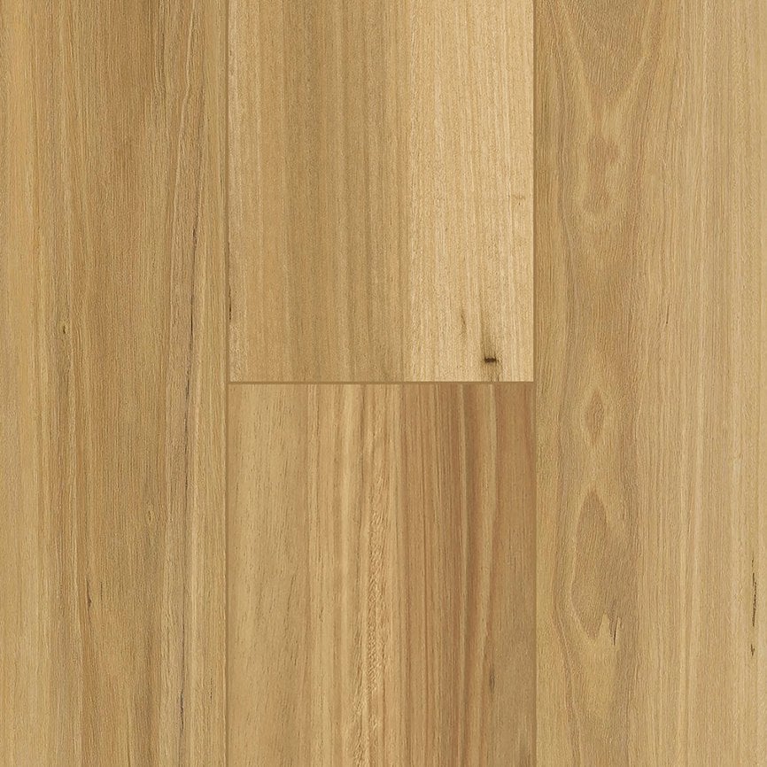 Emperor Penguin 9.0 variant 5