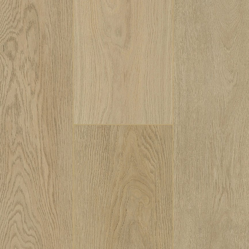 Emperor Penguin 9.0 variant 4