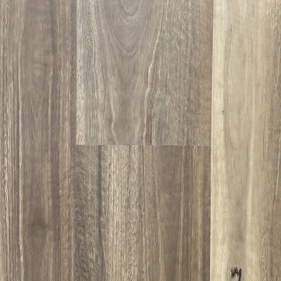 Guardian 6.5mm variant 2