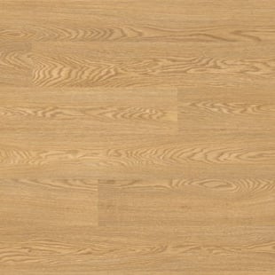 Blackbutt