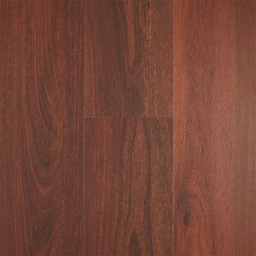 Blackbutt
