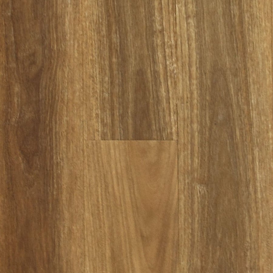 Blackbutt