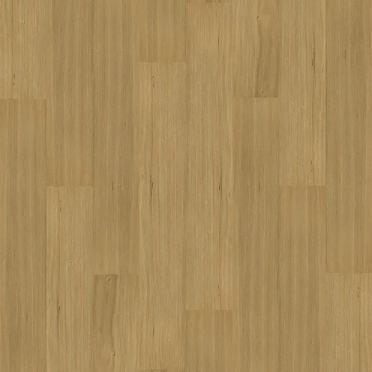 Blackbutt