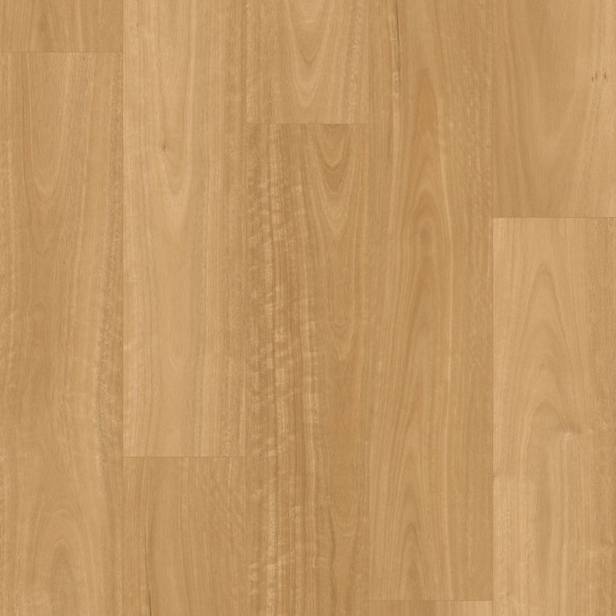 Australian Blackbutt