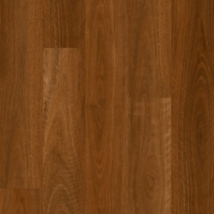 Australian Spotted Gum