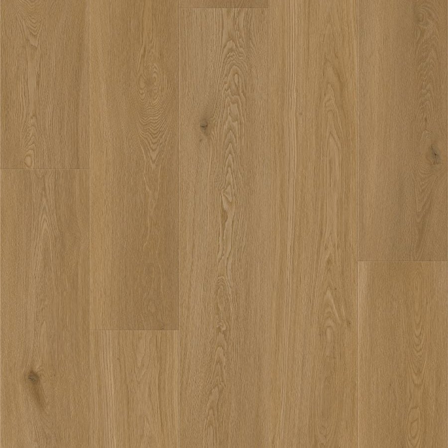 Canvas Tan