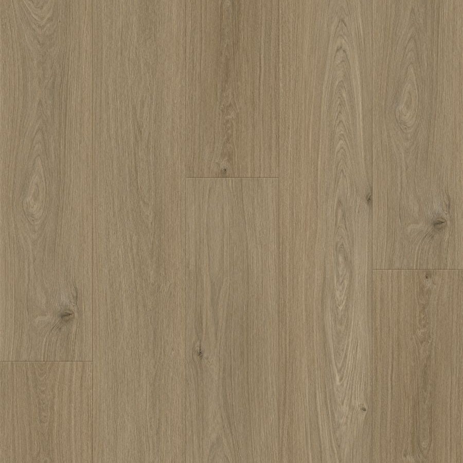 Sapia Clay