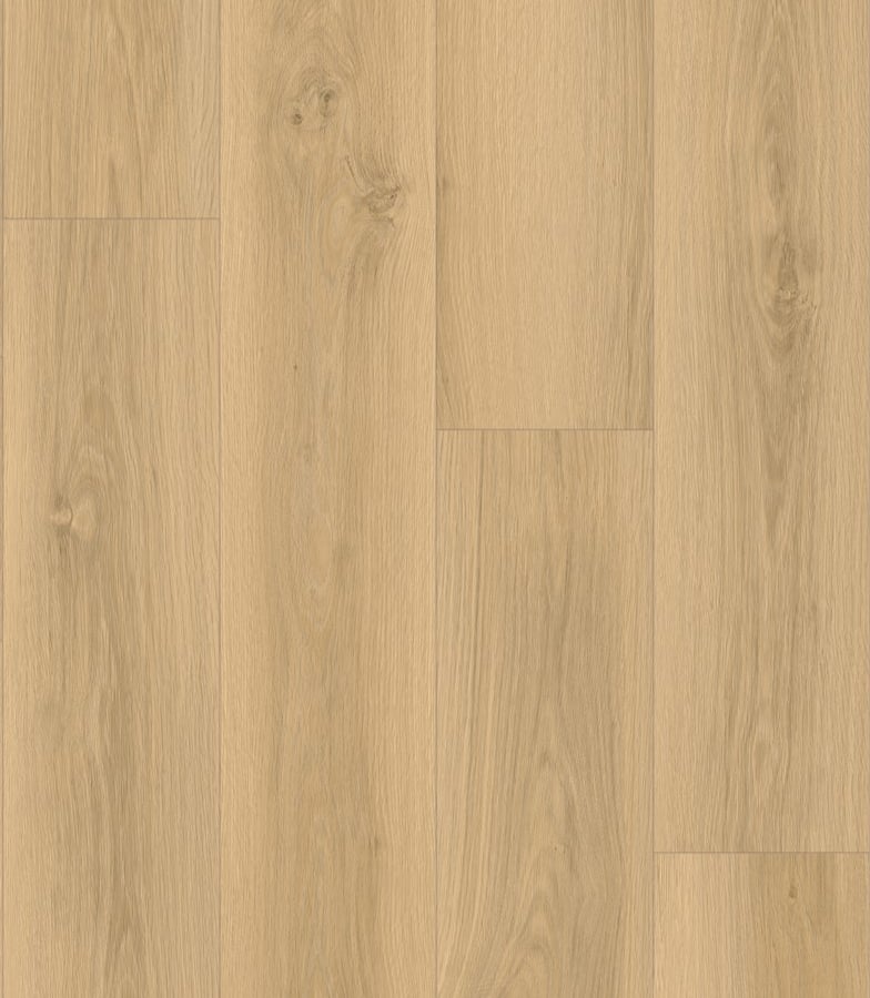 Windsor Oak