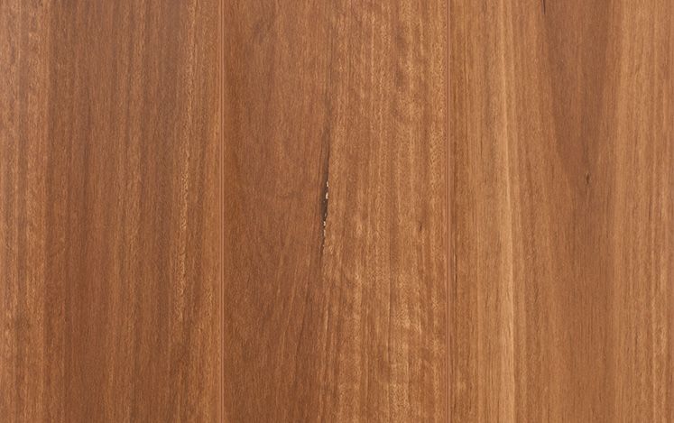 Northern Rivers Brushbox