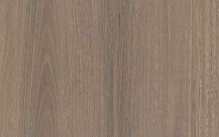 Riverland Spotted Gum