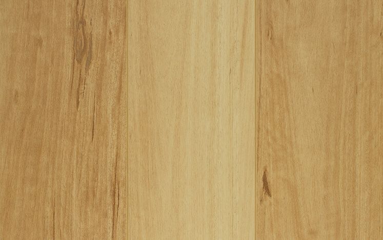 Reflections Lifestyle variant 5