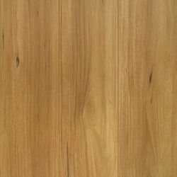 Reflections Lifestyle variant 3