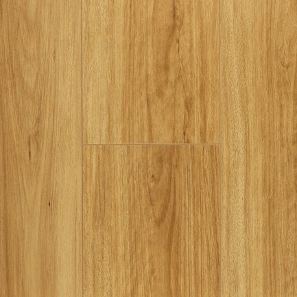 Australian Species variant 2