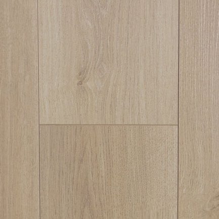 Pinaco 12mm variant 3