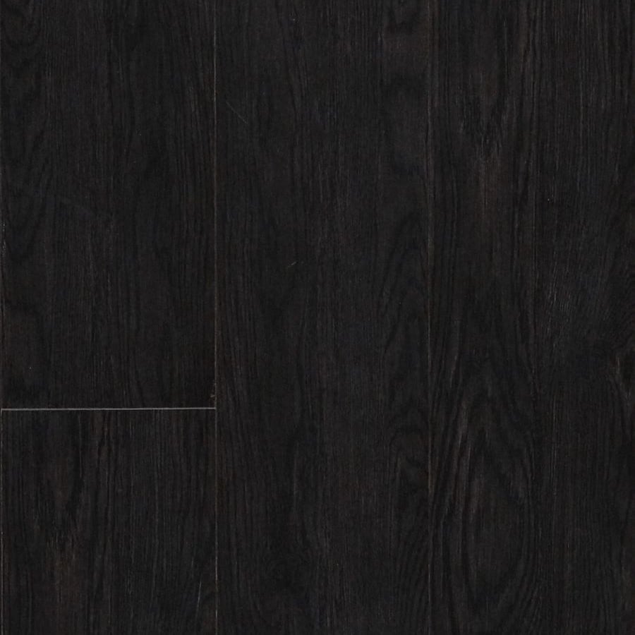 Forest Black Oak