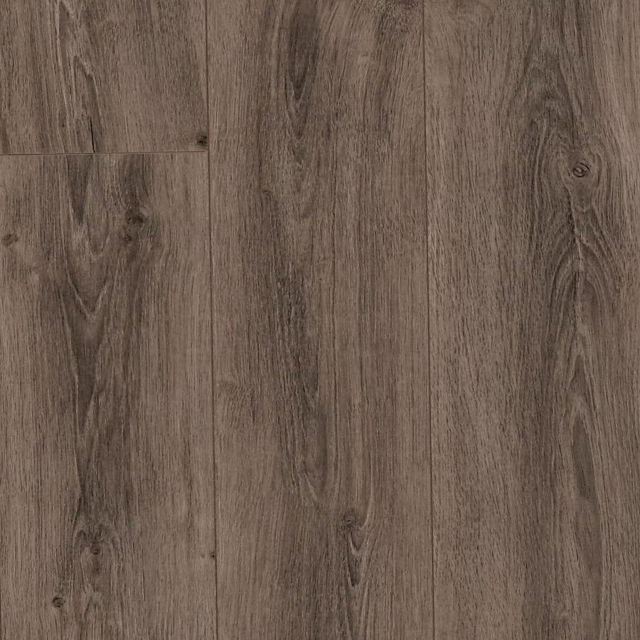 Grey Dark Oak
