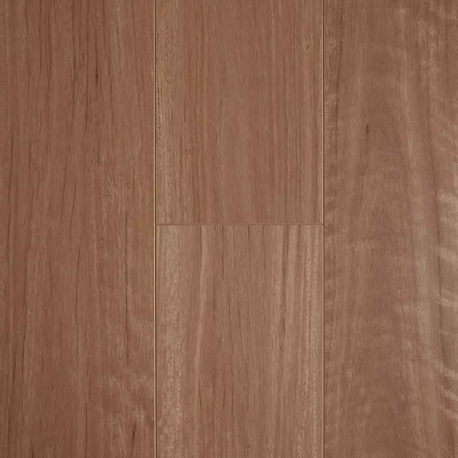 Aged Blackbutt