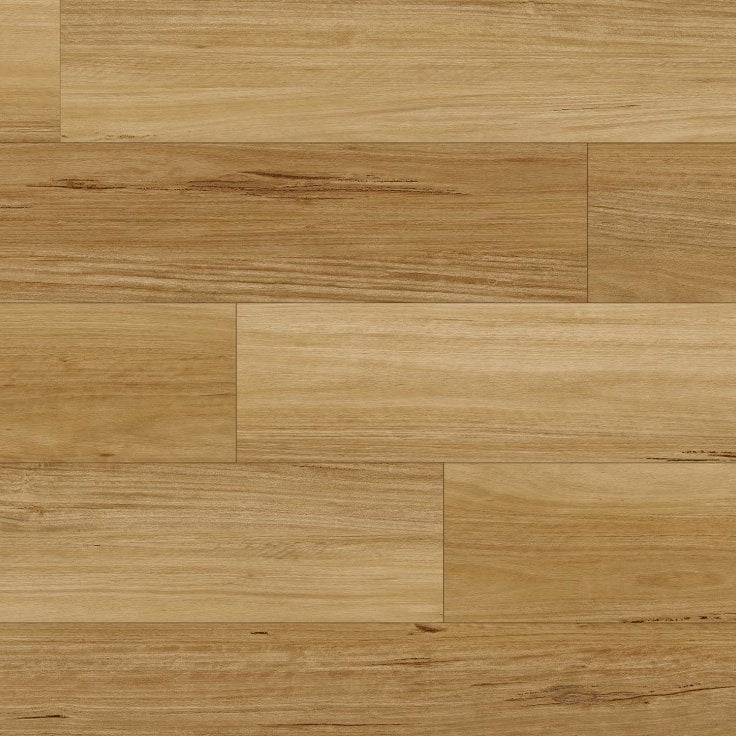 Australian Blackbutt