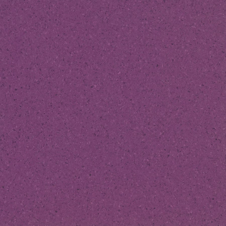 Accolade Plus variant 3