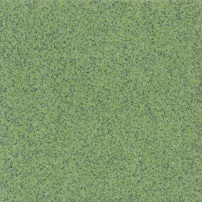 Safeguard R10 variant 5