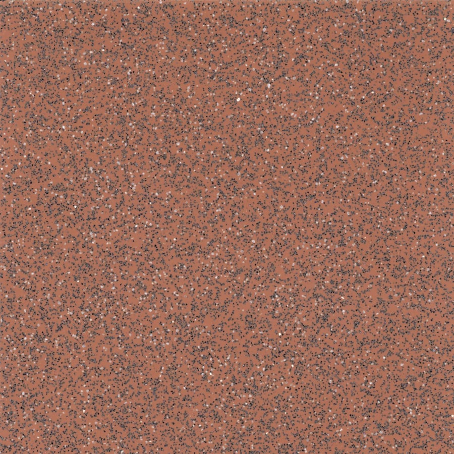 Safeguard R10 variant 4