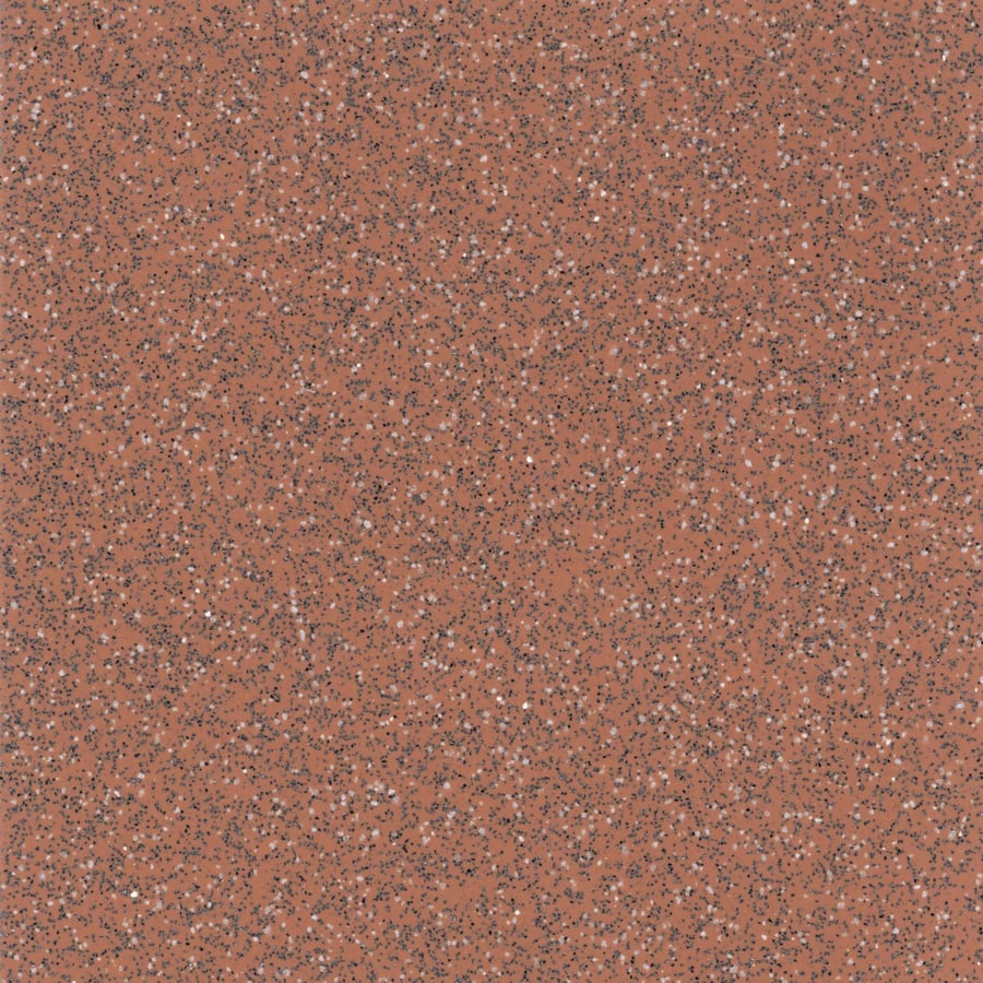 Safeguard R11 variant 3