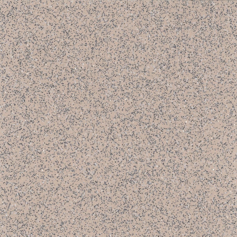 Safeguard R12 variant 5