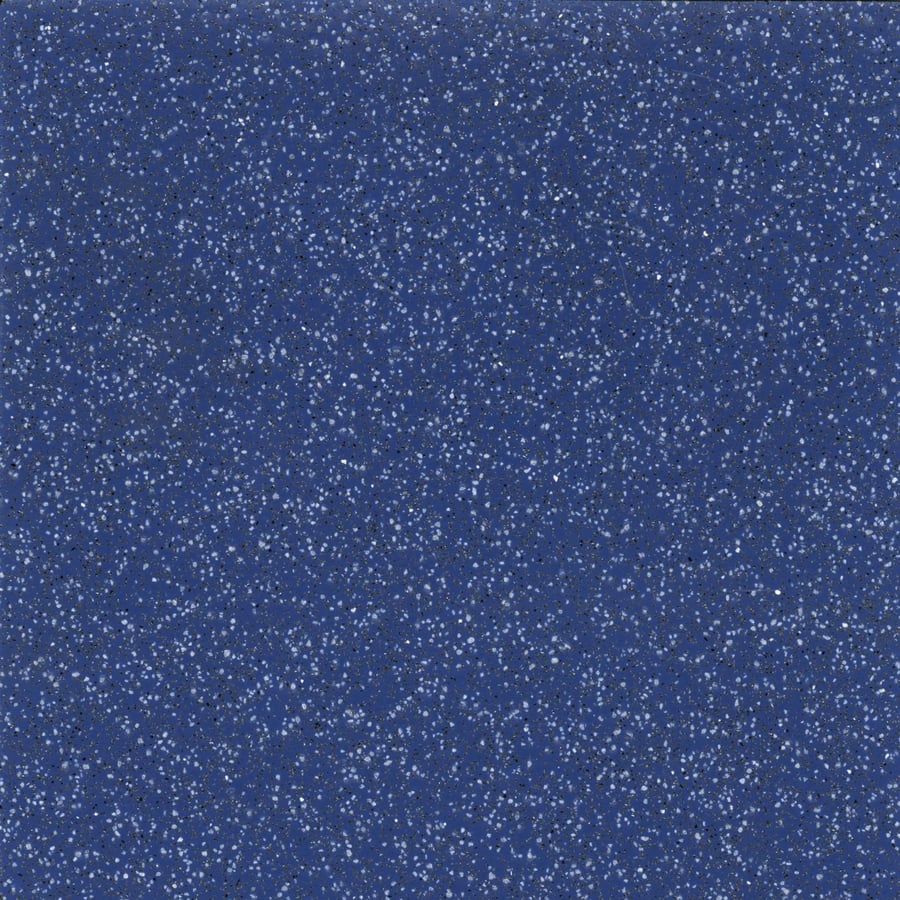 Safeguard R12 variant 3