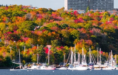 Halifax Skyline
