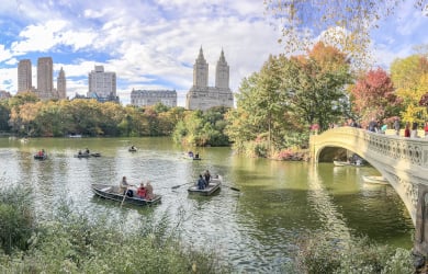 FreeCentralParkTourNewYorkBannerSmall