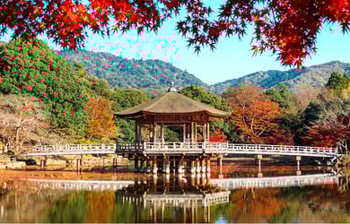 Essential Free Tour Nara Banner
