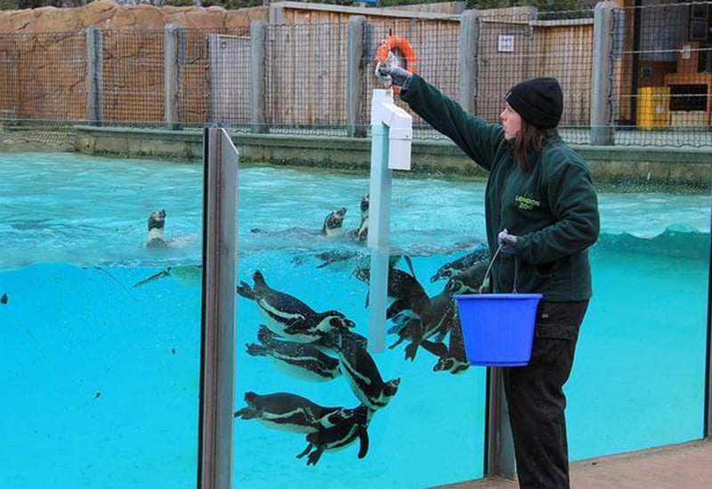 london zoo vip tour