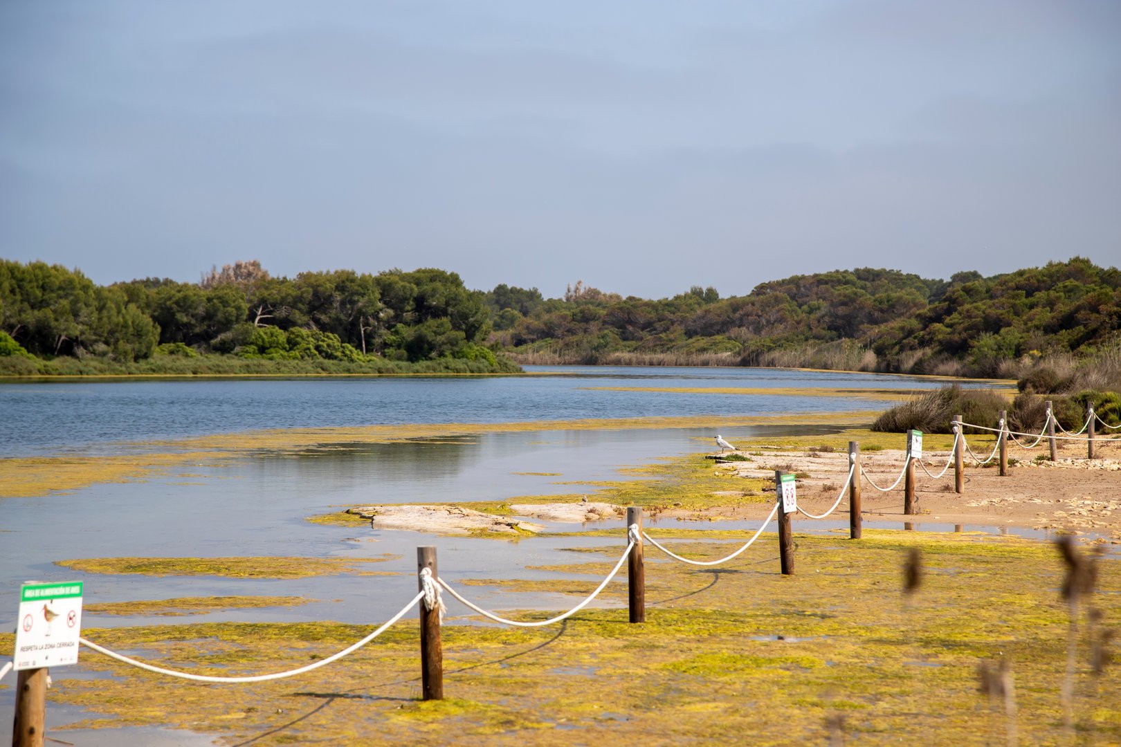 Free Albufera Bike Tour Valencia4
