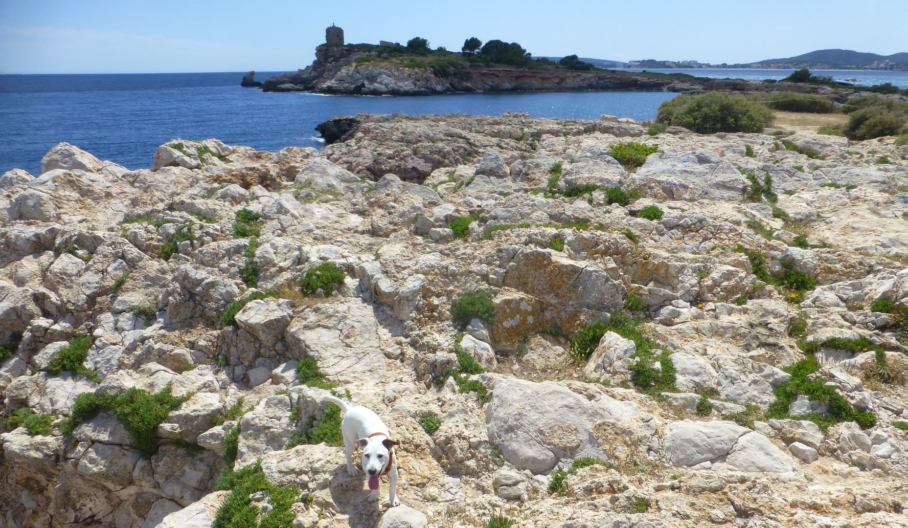 Free Southwest Coast Nature Walk Mallorca5