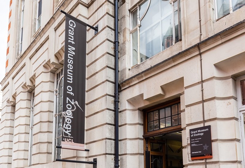 Top 10 Unusual And Unique Places To Visit In London_The Grant Museum of Zoology