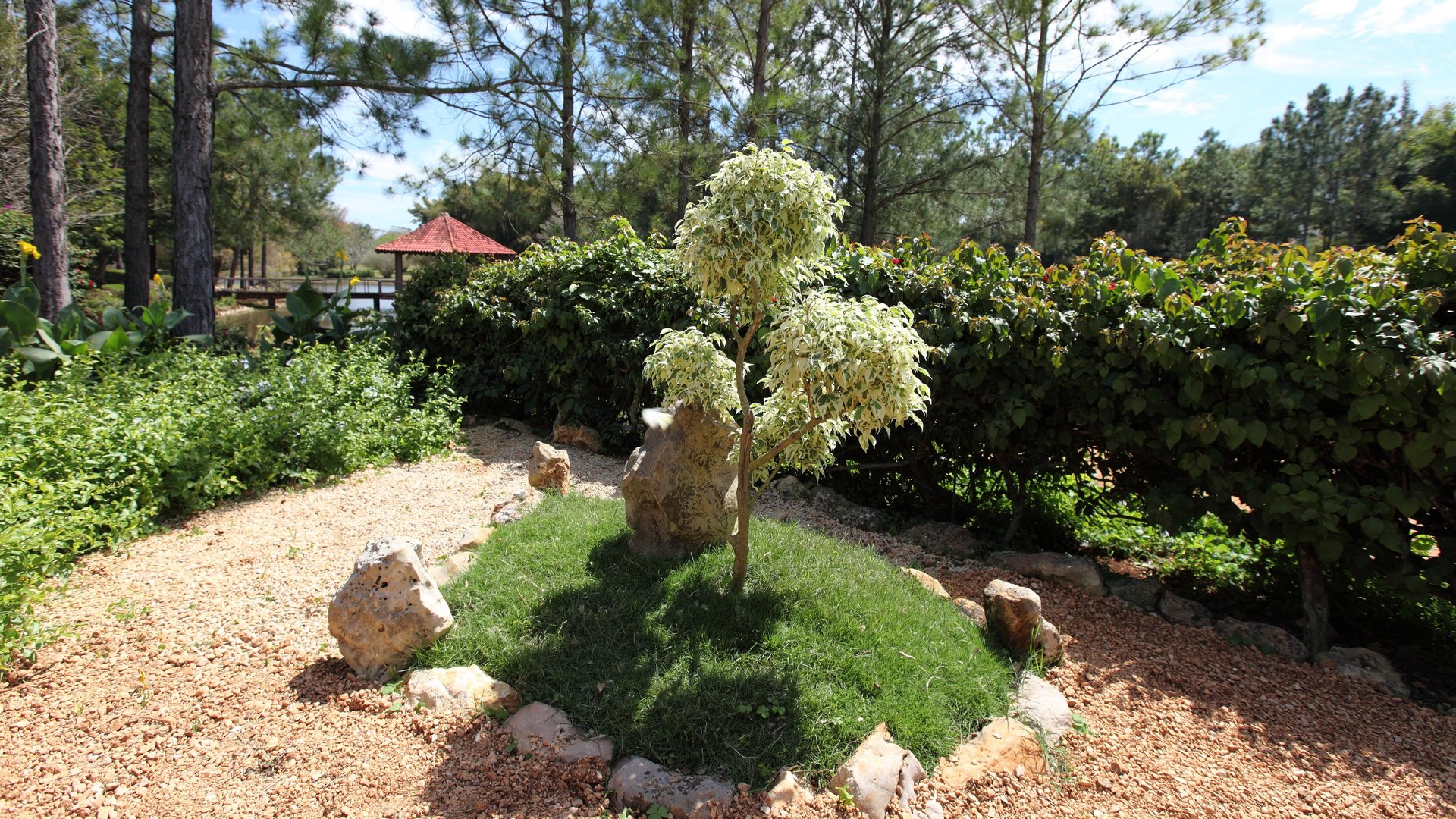 Free Green Spaces Motorcycle Tour Havana5