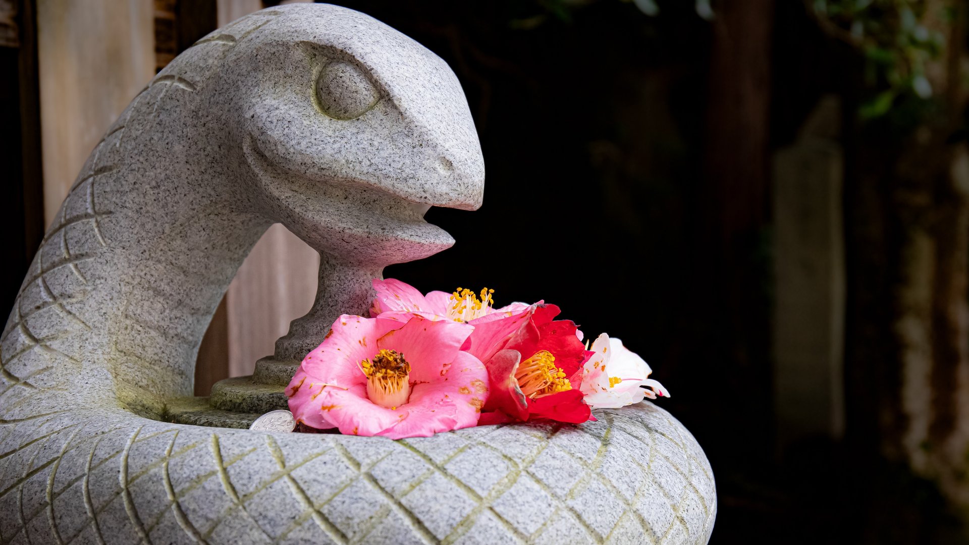 Free Nanzen-Ji Tour Kyoto4