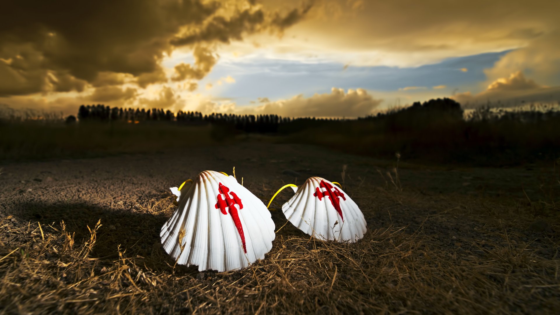 Free Way of St. James & Templars Tour Santiago de Compostela2