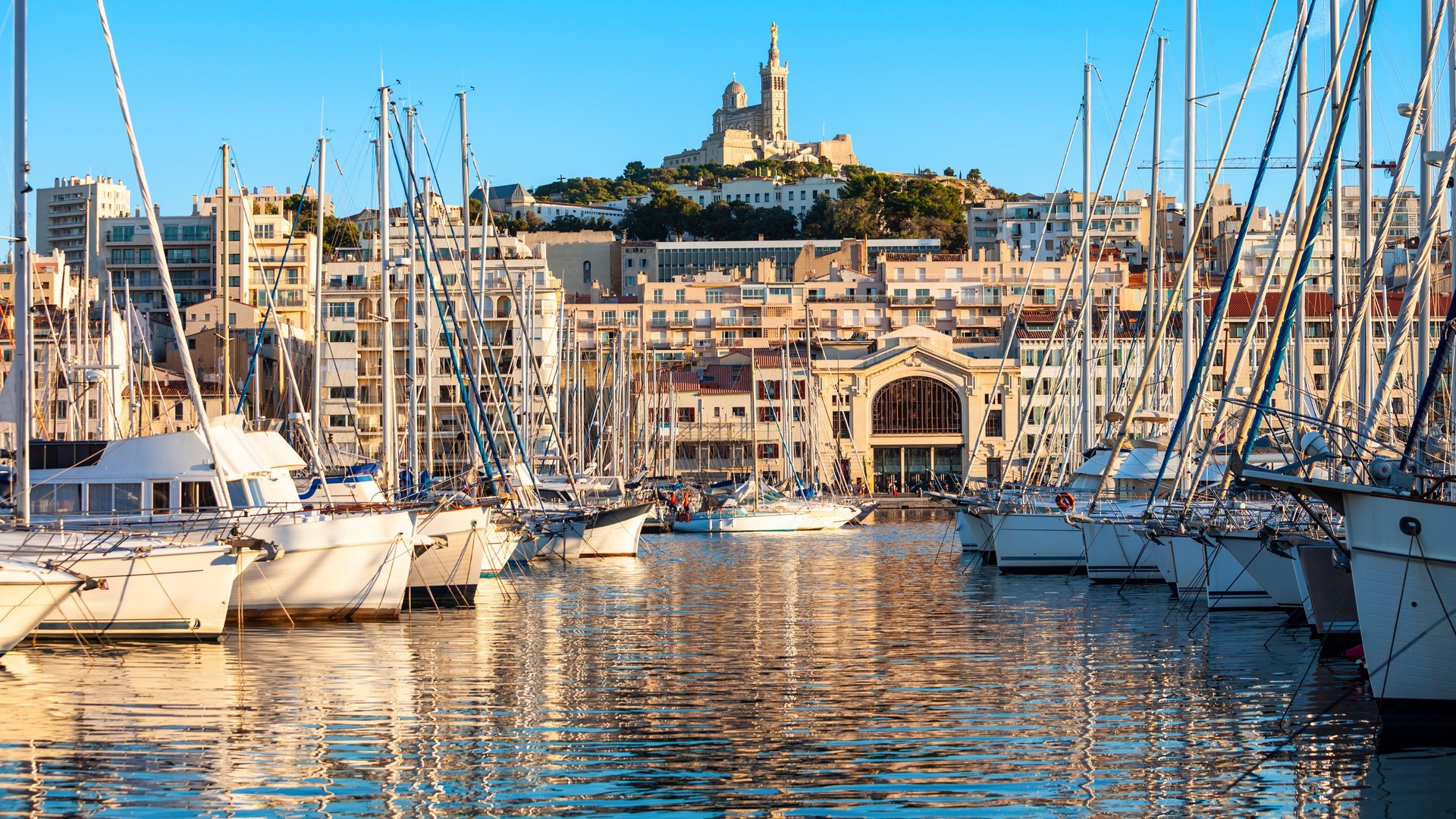 Free Old Port Tour Marseille1