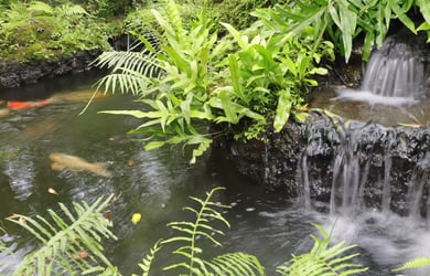Free Vida Park Tour Armenia Colombia Banner