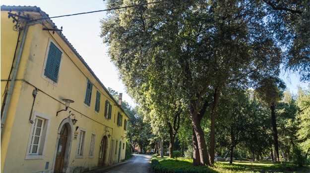 Essential Free Tour Zadar5