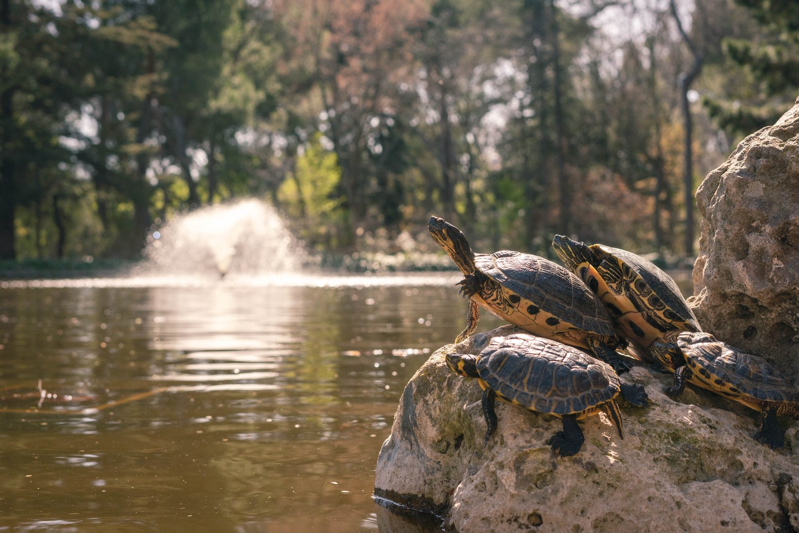 Free Quinta de los Molinos Tour Madrid3