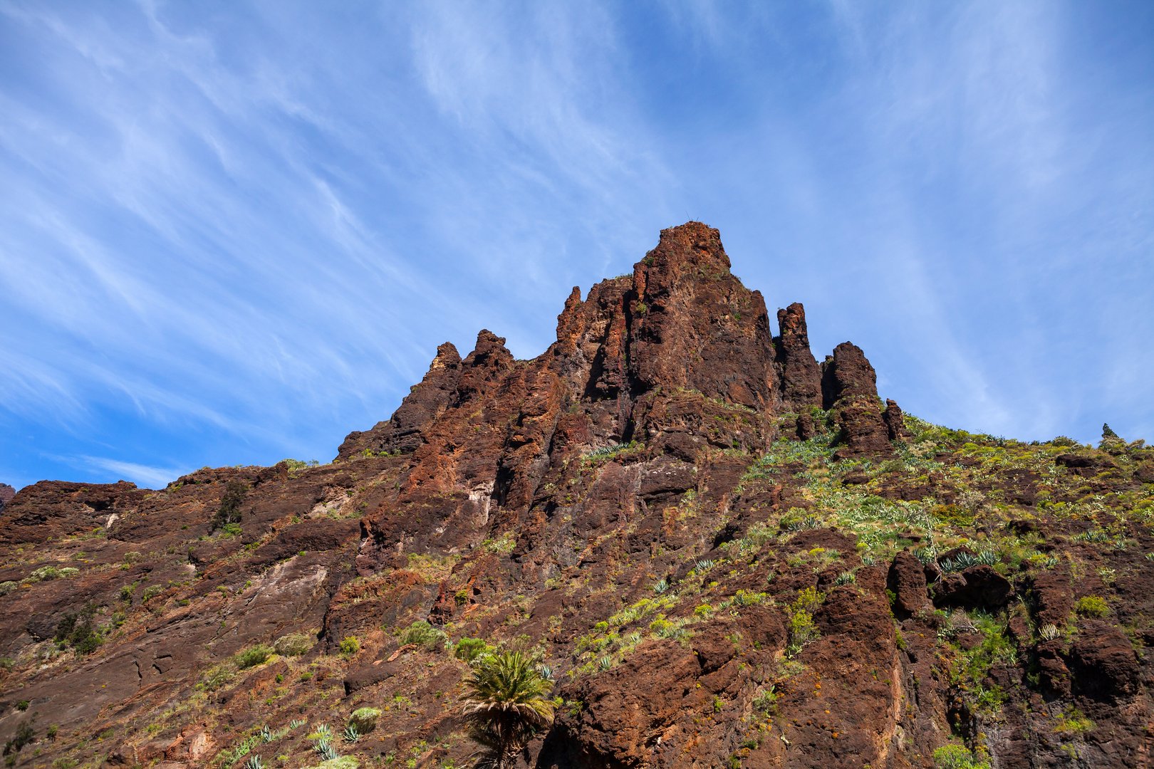 Free Masca Tour Tenerife5