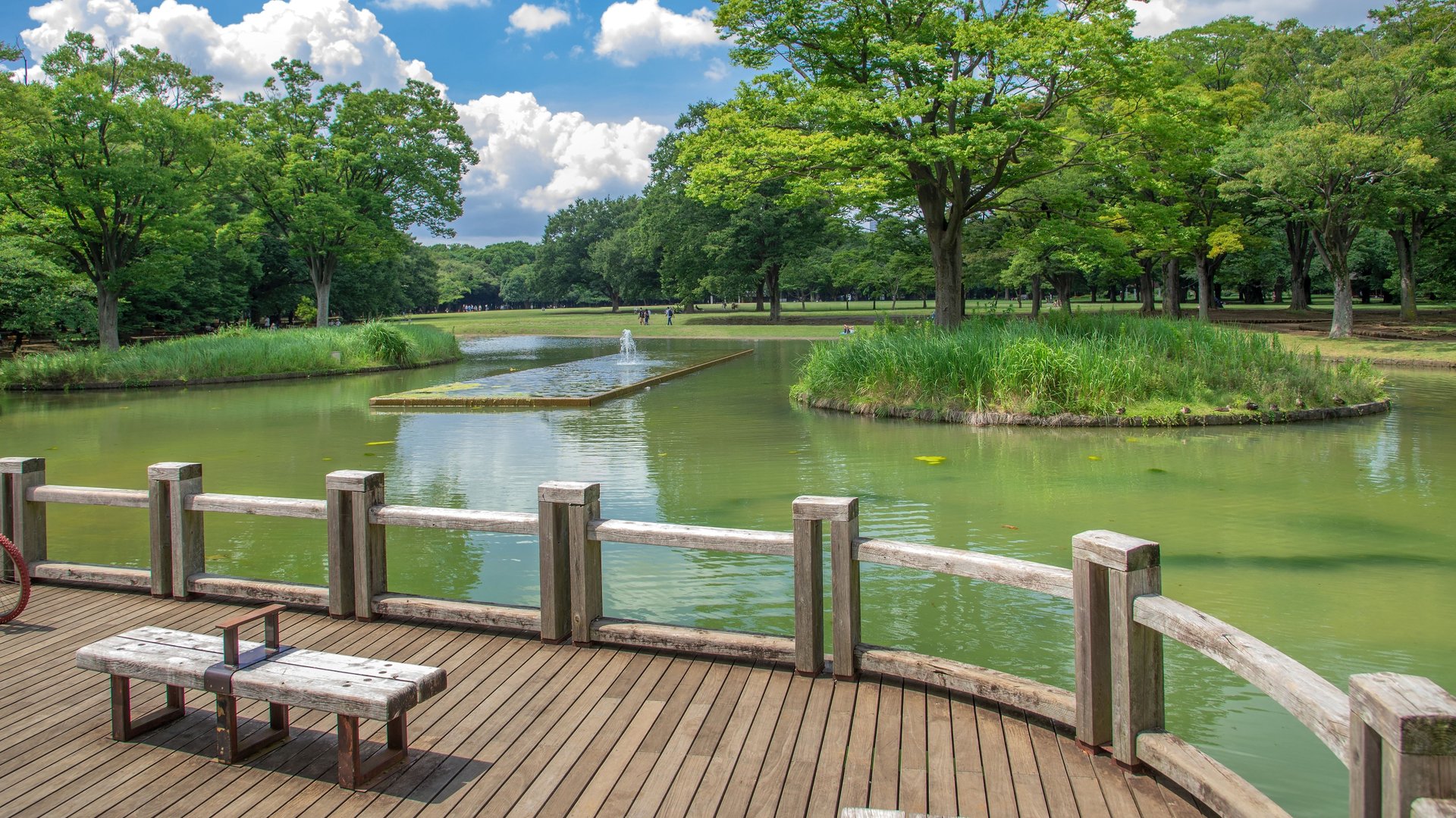 Free Meiji Shrine & Yoyogi Park Tour Tokyo3