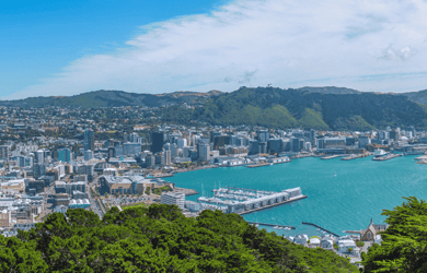 Wellington Skyline
