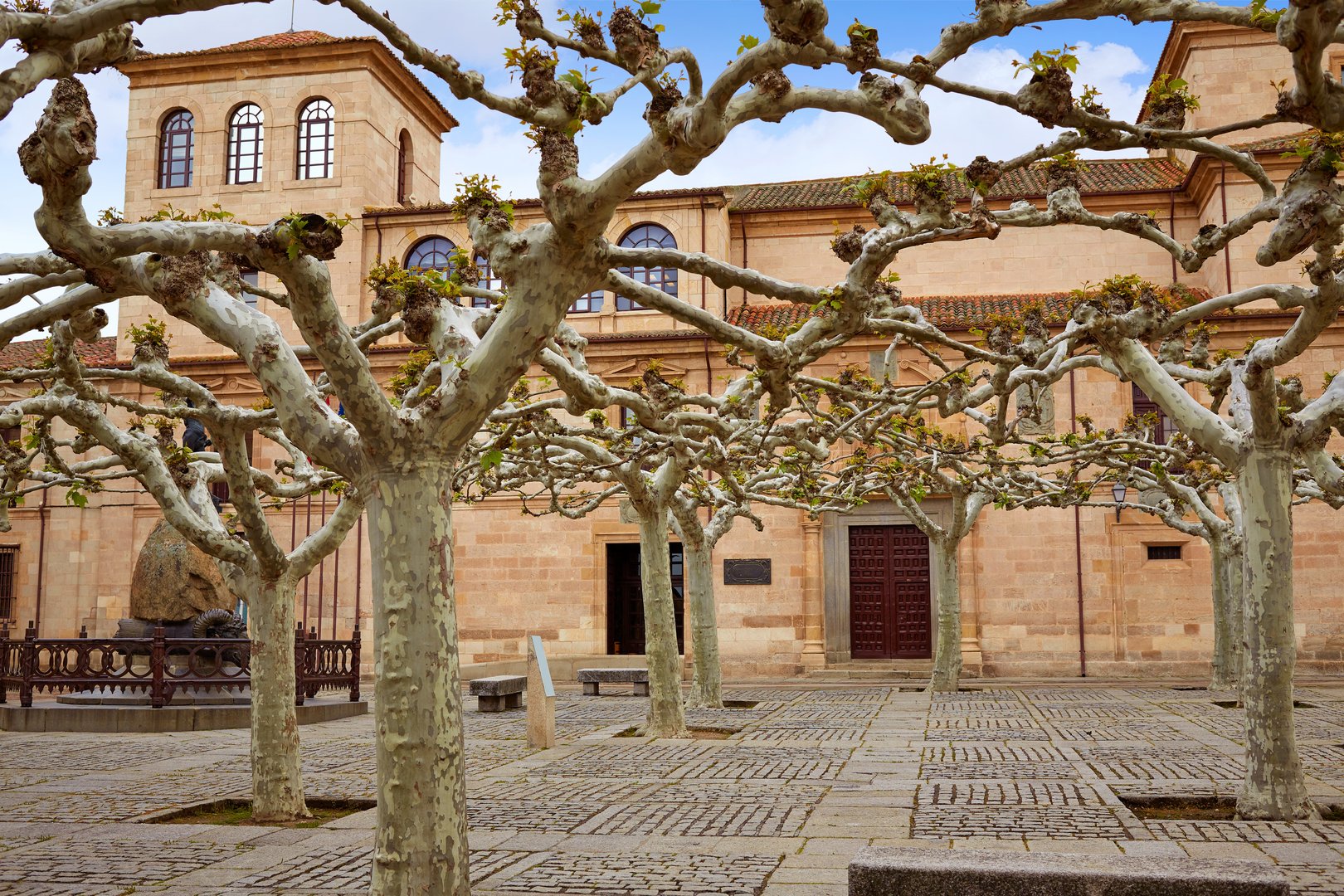 Essential Free Tour Zamora5